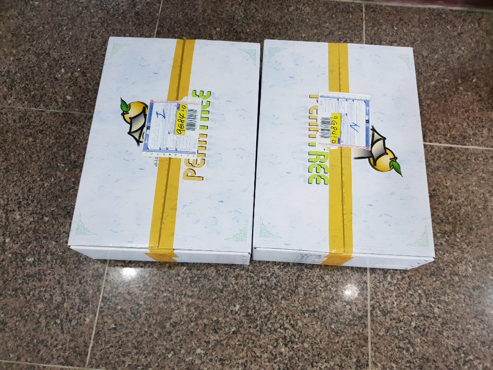 기아자동차 가족 봉사단