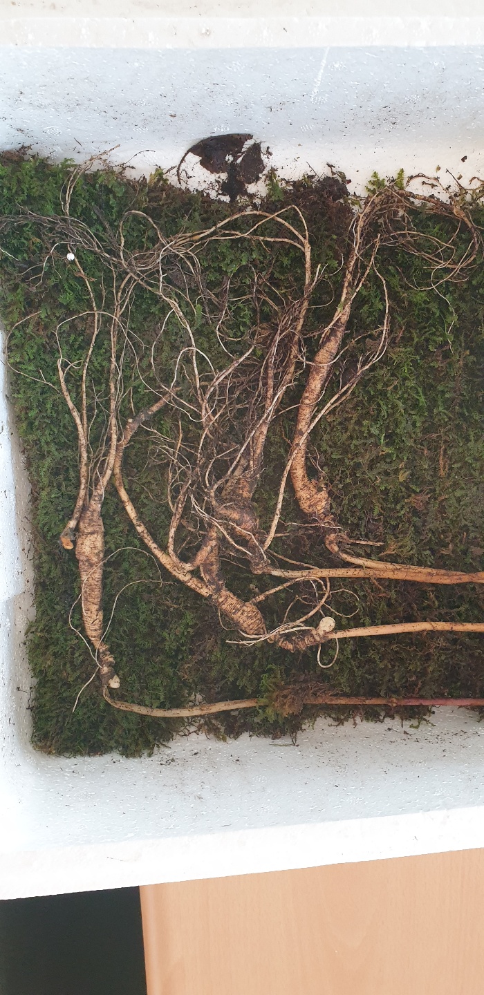 익명의 후원자분이 귀한 선물 보내주셨습니다.