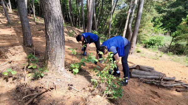 2023년_한국서부발전(주)1발전처계측제어부
